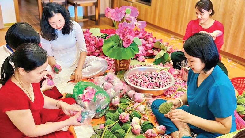 河内市西湖坊香水莲花茶合作社的生产活动。
