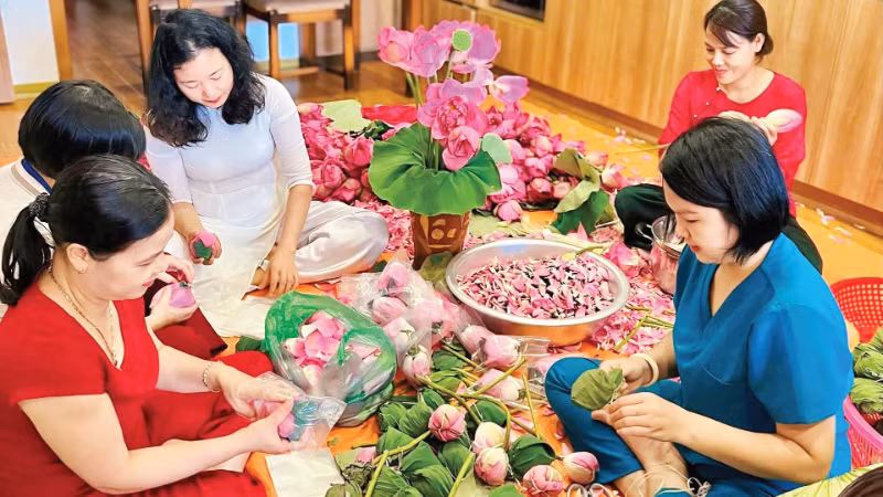河内市西湖坊香水莲花茶合作社的生产活动。