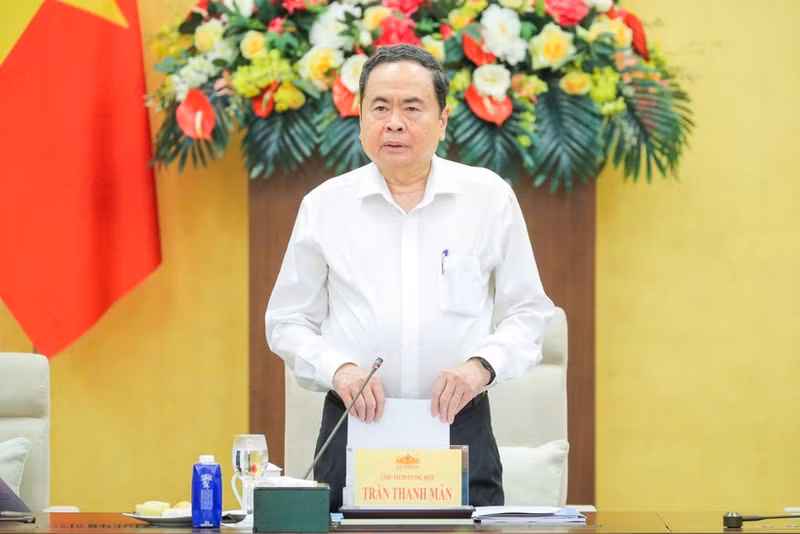 越南国会主席陈青敏发表讲话。（维灵 摄）