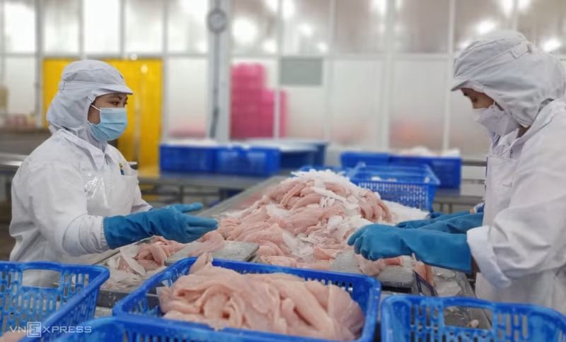 附图。（图片来源：越南快讯）