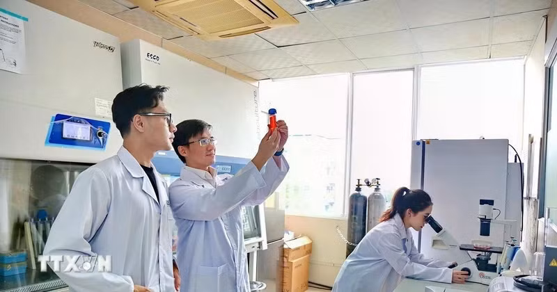 附图。（图片来源：越通社）