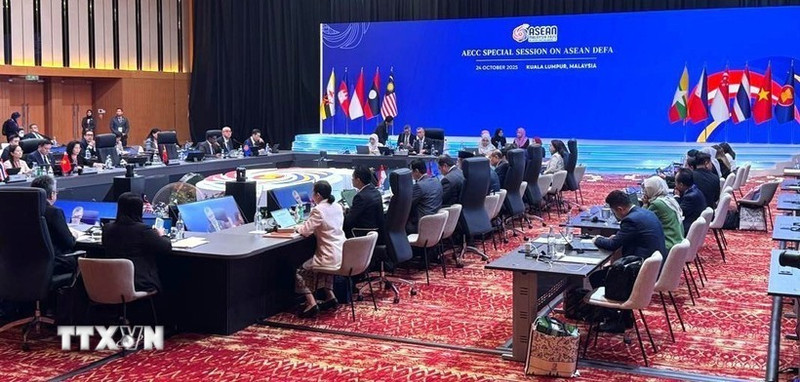 东盟经济共同体理事会会议。(图片来源:越通社)