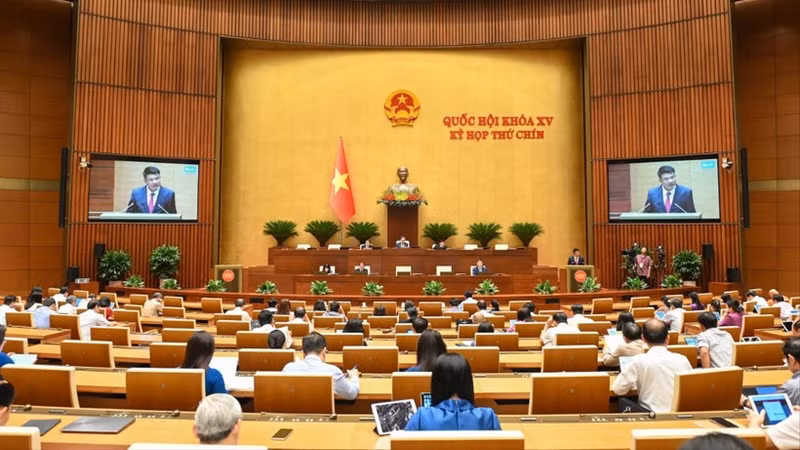 国会代表5月19日在会堂举行讨论会。