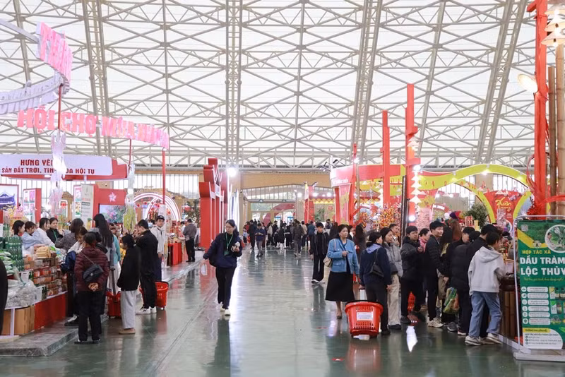 2026年春季博览会。