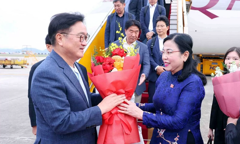 越南国会科学技术与环境委员会主任、越南—韩国友好议员小组主席阮青海到机场迎接韩国国会议长。（图片来源：越通社）