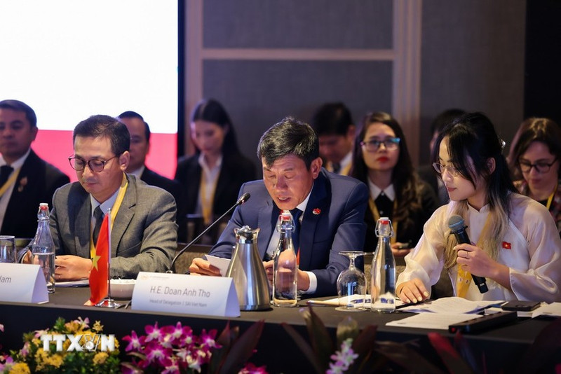 越南国家审计署副审计长尹英诗率团出席东盟最高审计机关组织第八次大会。（图片来源：越通社）