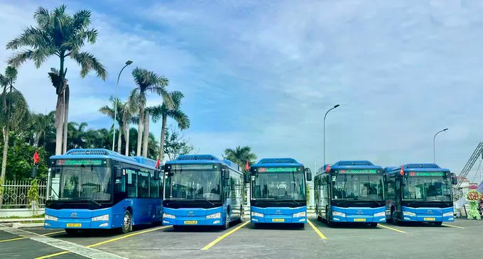 昆岛特区预计12月开通首条电动公交线路。