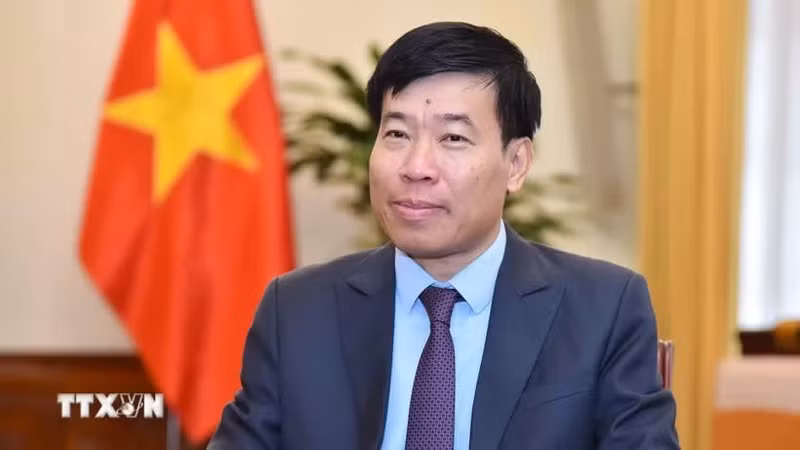 越共中央委员、外交部党委常务副书记、外交部副部长阮孟强。（图片来源：越通社）