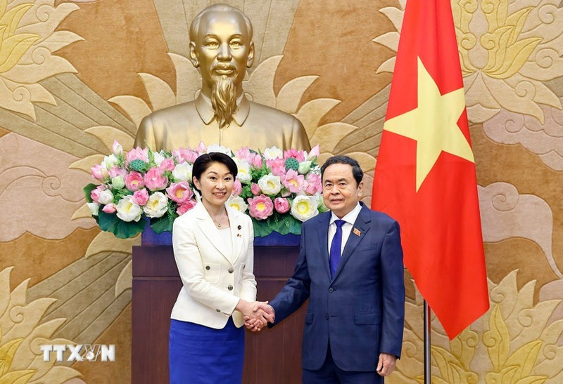 国会主席陈青敏和日越友好议员联盟主席小渊优子。（图片来源：越通社）