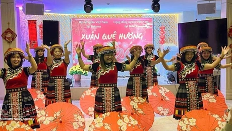 “2026丙午年家乡之春”活动文艺节目。（图片来源：越通社）