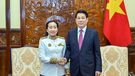 国家主席梁强与柬埔寨驻越南大使。