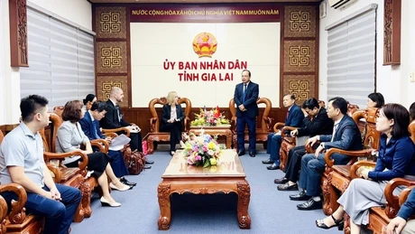 嘉莱省会同美国驻胡志明市总领事馆及天主教救济服务会（CRS）驻越南代表处共同举行仪式，向越南中部部分受灾省份象征性地移交灾后恢复重建援助款项。