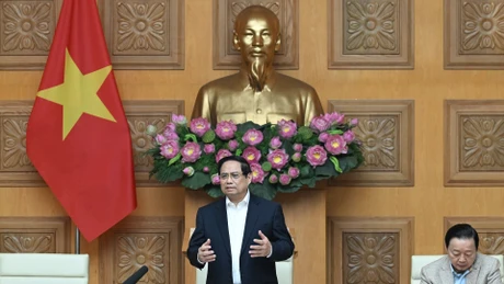 政府总理范明正主持召开了在线会议，讨论了实施“光忠行动”的措施。