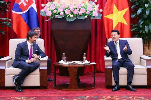 越共中央政治局委员、公安部长梁三光上将会见斯洛伐克副总理兼国防部长罗贝尔特·卡利尼亚克。
