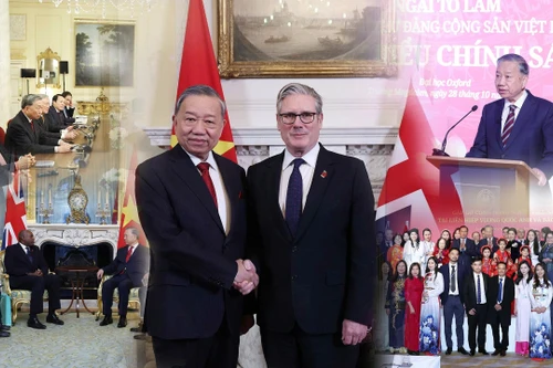 推动越英关系提质升级 制定长期合作战略