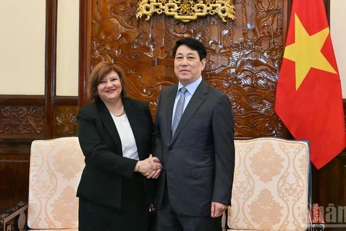 越南国家主席梁强与阿拉伯埃及共和国驻越大使阿玛尔·阿卜杜勒·卡德尔·艾尔穆尔西·萨拉马。