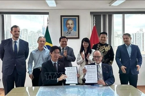 巴西-越南商会（BVC）与巴西-越南圣埃斯皮里图州工商会的谅解备忘录签署仪式。（图片来源：大使馆供图）