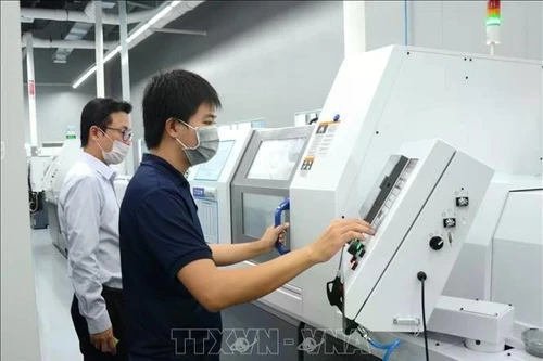 附图。（图片来源：越通社）