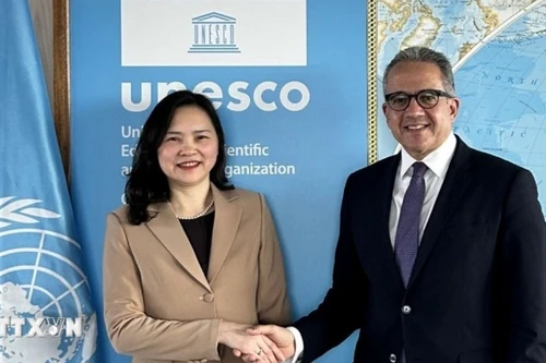 阮氏云英大使与哈立德·埃纳尼总干事。（图片来源：越通社）