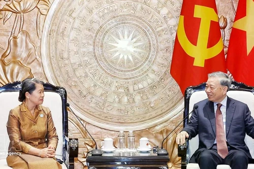 越共中央总书记苏林会见柬埔寨人民党副主席、柬埔寨祖国发展团结阵线国家委员会主席梅森安。（图片来源：越通社）