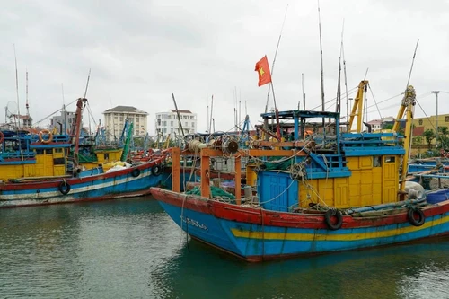 嘉莱省强化渔船管理 迈向可持续渔业发展。