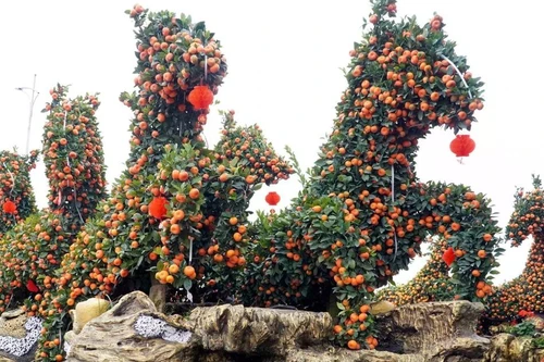 兴安省米处乡兴心园艺户创作的作品《马到成功》，造型为8匹骏马飞奔向前。（图片来源：越通社）