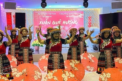 “2026丙午年家乡之春”活动文艺节目。（图片来源：越通社）