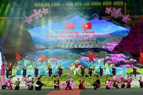 越中文化交流项目传递了和平、团结与合作的信息。