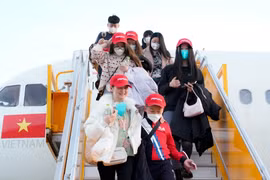 附图。（图片来源：VnExpress）