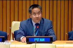 越南常驻联合国代表团副团长阮海流公使出席会议并发表讲话。