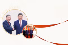 将越中全面战略合作伙伴关系推向发展新时代