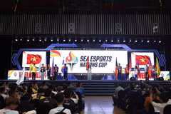 附图：2026年越南游戏节吸引参观者约达6万人次。