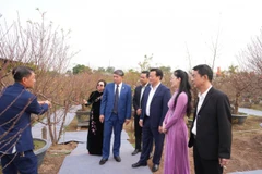 出席“日新桃花—红河春色”活动开幕式的代表们欣赏日新桃花种植村艺人制作的艺术桃花作品。