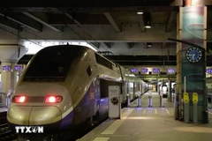 越法深化铁路领域交流与合作。（图片来源：越通社）