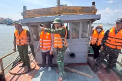 胡志明市推进数据透明化与捕捞监管。