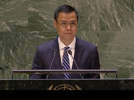 越南常驻联合国代表团团长邓黄江大使。