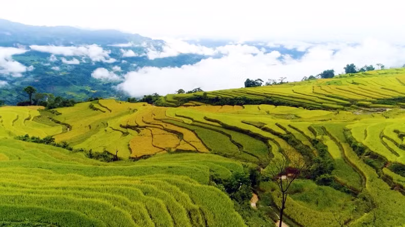 图纳杭县鸿泰乡梯田是最具吸引力的旅游景点。