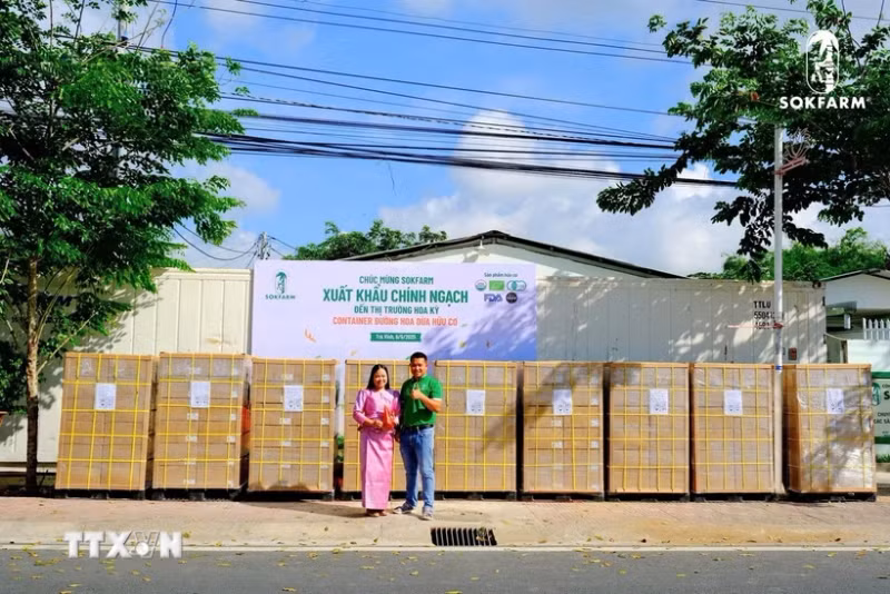 茶荣省首批五星级一乡一品产品--有机椰花糖已启程出口美国市场。