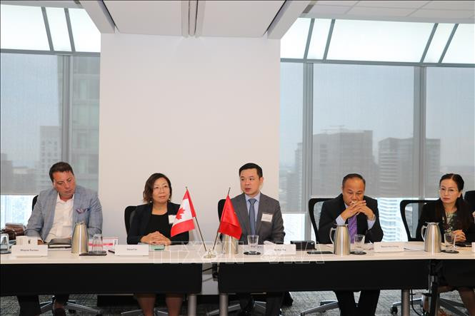 越南企业国有资本管理委员会副主席杜友辉回答了加拿大企业有关越南投资机会的问题。（图片来源：越通社）