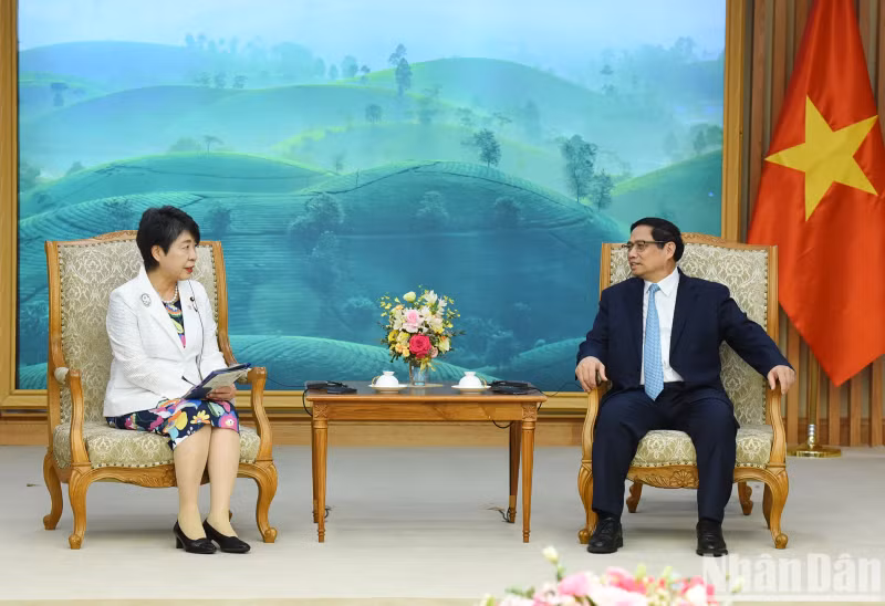 越南政府总理范明正会见日本外务大臣上川阳子。（陈海 摄）