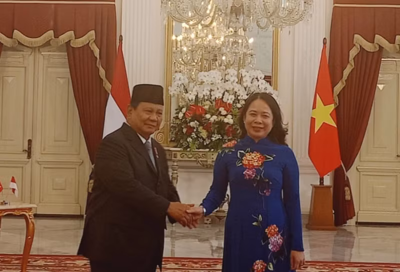 越南国家副主席武氏映春会见印尼总统普拉博沃。