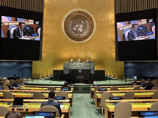 越南常驻联合国代表团团长邓黄江大使发表讲话。
