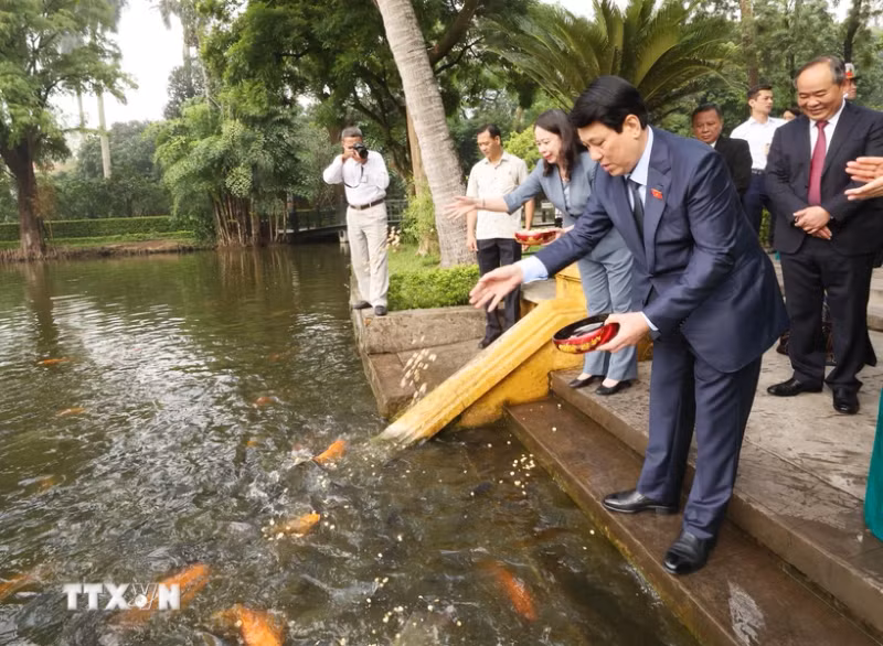 越南国家主席梁强参观设在主席府的胡志明主席遗迹区内的胡伯伯鱼塘。