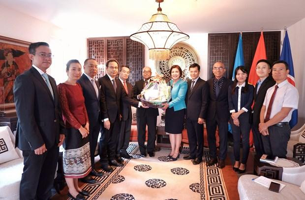 越南常驻联合国、世界贸易组织及日内瓦 其他国际组织代表团和老挝常驻联合国、世界贸易组织及日内瓦其他国际组织代表团。