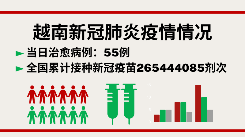 12月29日越南新增新冠确诊病例234例【图表新闻】