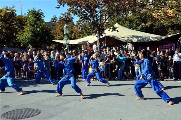 越南武术表演。