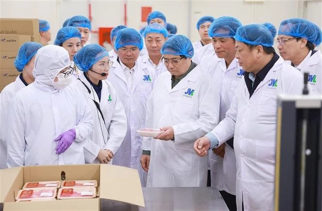 越南政府总理范明正视察了三岛肉牛养殖场及牛肉加工厂综合体。