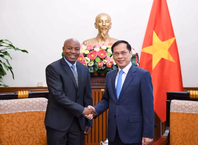 越南政府副总理兼外交部长裴青山与坦桑尼亚外交与东非合作部副部长科萨托·戴维·楚米。