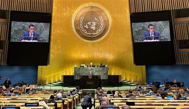 越南常驻联合国代表团团长邓黄江大使在会上发表讲话。