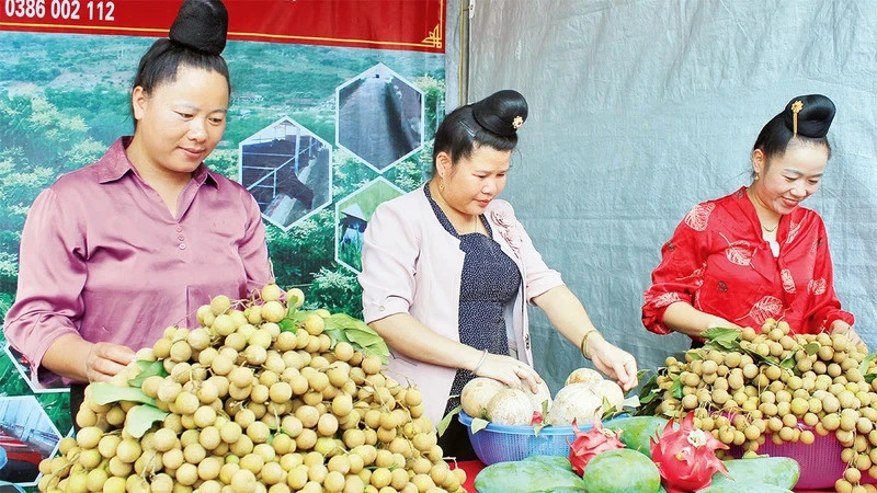 马河县科技应用园采收的龙眼产品。